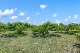 266 Old Chisholm Trail, Rhome, TX 76078 - Photo 32