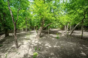 1615 Sara Cove, Lucas, TX 75002 - Photo 38