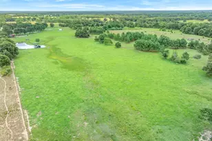 132 Private Rd 7105, Edgewood, TX 75117 - Photo 6