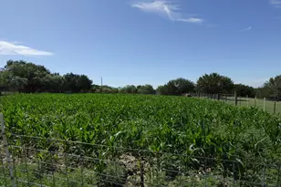 30495 State Hwy 6, Hico, TX 76457 - Photo 22