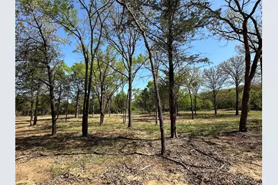 Tbd Lot 5 Cr-194, Gainesville, TX 76240 - Photo 2
