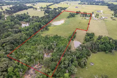 881 Vz County Road 4605, Ben Wheeler, TX 75754 - Photo 2