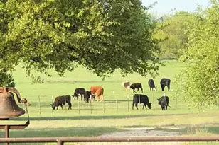 660 FM 203, Walnut Springs, TX 76690 - Photo 1