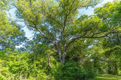 404 W Oak Street, Mansfield, TX 76063 - Photo 10