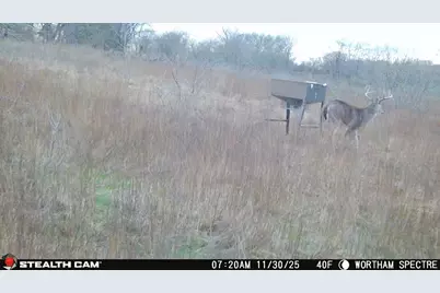 168+/- Acres Sh-14, Wortham, TX 76681 - Photo 38