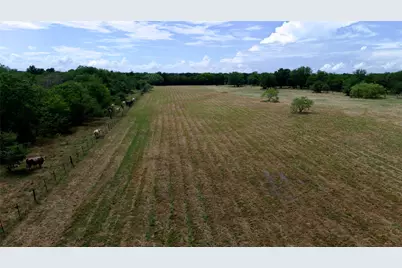 168+/- Acres Sh-14, Wortham, TX 76681 - Photo 18