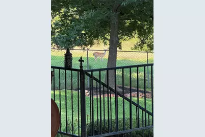 445 W Belknap Street, Jacksboro, TX 76458 - Photo 8