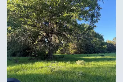 289 Fcr 261, Oakwood, TX 75855 - Photo 1