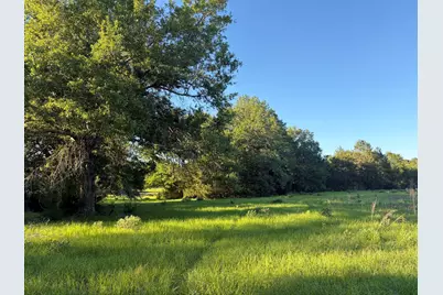 289 Fcr 261, Oakwood, TX 75855 - Photo 4