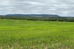 202 Co Rd 312, Winters, TX 79567 - Photo 2