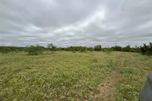 202 Co Rd 312, Winters, TX 79567 - Photo 6