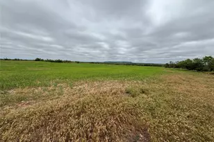 202 Co Rd 312, Winters, TX 79567 - Photo 8