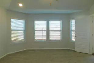 14017 Earlham St, Pilot Point, TX 76258 - Photo 12