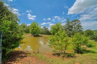 1936 A Silver Maple Rd, Big Sandy, TX 75755 - Photo 30