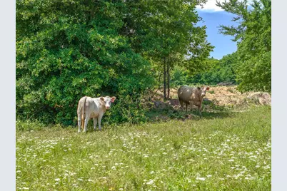 11551 County Road 314 Road, Terrell, TX 75161 - Photo 10