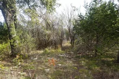 Lot 521 Canyon Wren, Possum Kingdom Lake, TX 76449 - Photo 10