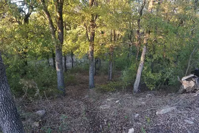 Lot 521 Canyon Wren, Possum Kingdom Lake, TX 76449 - Photo 12