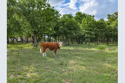 210 County Road 2696, Alvord, TX 76225 - Photo 28