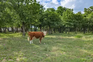 210 Co Rd 2696, Alvord, TX 76225 - Photo 28