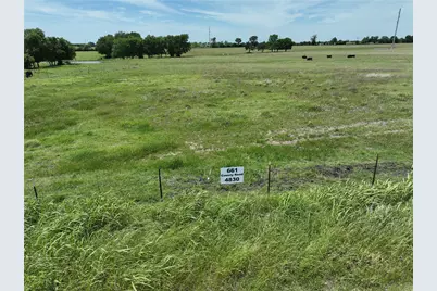 Tbd Tract 4 County Road 4830, Leonard, TX 75452 - Photo 10