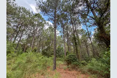 Tbd Cr 4510, Pittsburg, TX 75686 - Photo 22