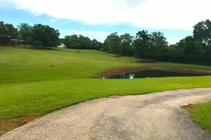 440 Vz County Road 4814, Ben Wheeler, TX 75754 - Photo 2