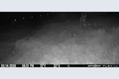 14867 County Road 407, Trent, TX 79561 - Photo 36