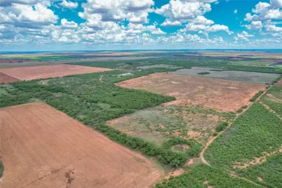 14867 County Road 407, Trent, TX 79561 - Photo 12