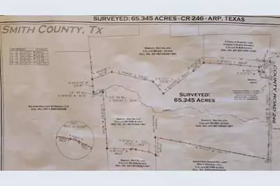 Tbd County Road 246, Arp, TX 75750 - Photo 6