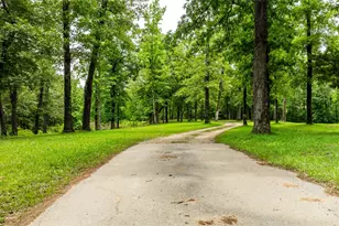 251 Private Rd 8179, Ben Wheeler, TX 75754 - Photo 4