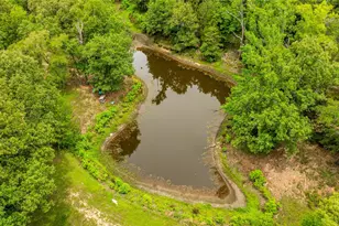 251 Private Rd 8179, Ben Wheeler, TX 75754 - Photo 6