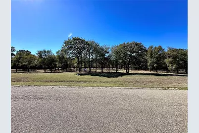 332 Sugartree Circle, Lipan, TX 76462 - Photo 10