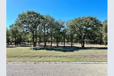 332 Sugartree Circle, Lipan, TX 76462 - Photo 6
