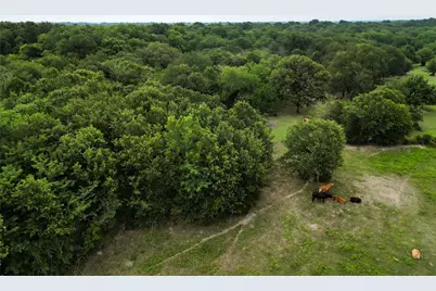 30.213Ac County Road 4766, Sulphur Springs, TX 75482 - Photo 14