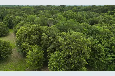 30.213Ac County Road 4766, Sulphur Springs, TX 75482 - Photo 12