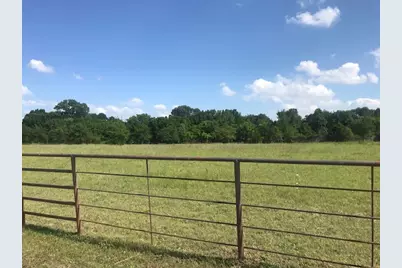 420 Kinney Drive, Murphy, TX 75094 - Photo 4