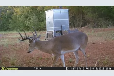 16092 County Road 440, Lindale, TX 75771 - Photo 28