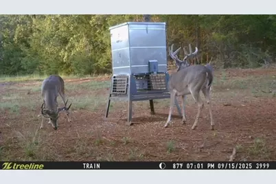 16092 County Road 440, Lindale, TX 75771 - Photo 24