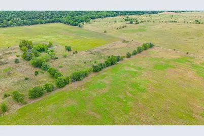 8365 Fm 642, Purdon, TX 76679 - Photo 6