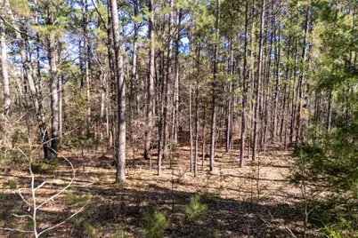 Tbd E Loop 564, Mineola, TX 75773 - Photo 8