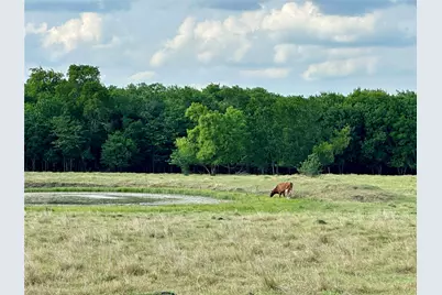 2129 County Road 2130, Cooper, TX 75432 - Photo 10