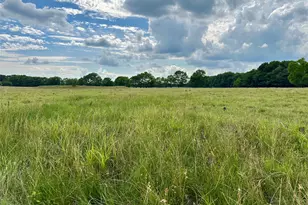 2129 Co Rd 2130, Cooper, TX 75432 - Photo 1