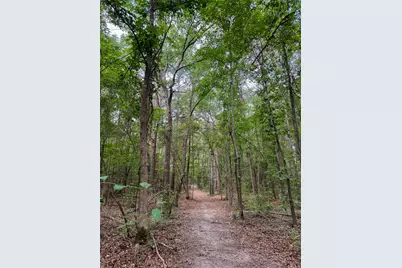 305 County Road 1145, Atlanta, TX 75551 - Photo 38