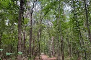 305 Co Rd 1145, Atlanta, TX 75551 - Photo 38