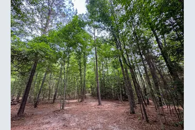 305 County Road 1145, Atlanta, TX 75551 - Photo 34
