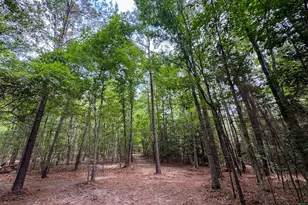 305 Co Rd 1145, Atlanta, TX 75551 - Photo 34