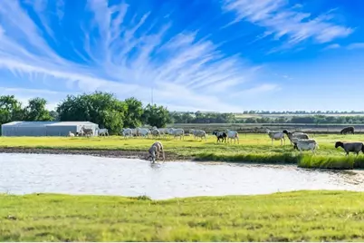 8085 Jackson Road, Krum, TX 76249 - Photo 36