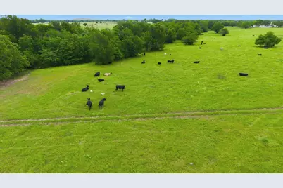 7635 County Road 4209, Campbell, TX 75422 - Photo 20