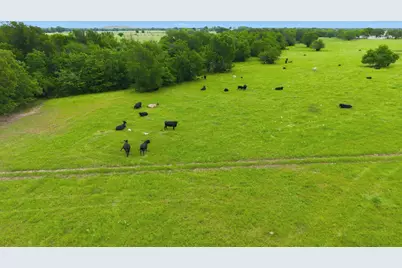 7635 County Road 4209, Campbell, TX 75422 - Photo 20