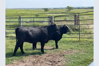 1044 Hcr 3241, Hubbard, TX 76648 - Photo 8